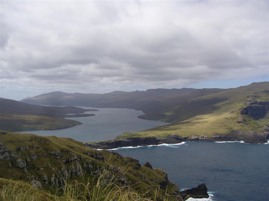 Carnley Harbour