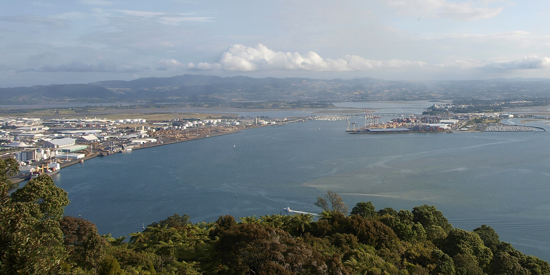 Tauranga Harbour